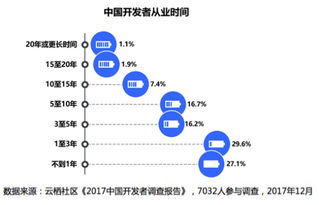 2017年終大片 中國開發者現狀分析