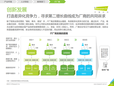 2021年中國(guó)企業(yè)級(jí)無(wú)代碼白皮書(shū)